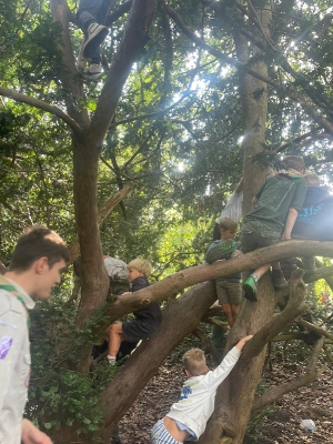 Sint-Martinus den XIIde - Opening 2024